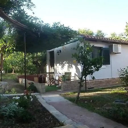 Brigitta * Vasilikí