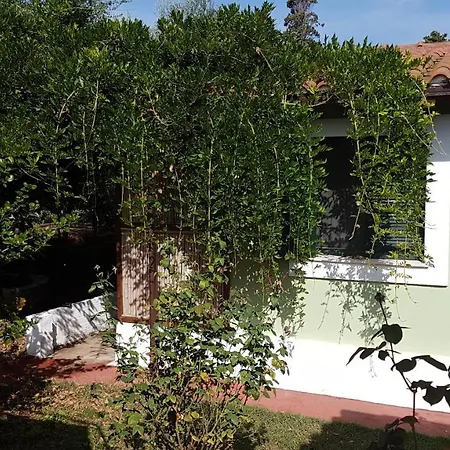 Brigitta Apartment Vasilikí